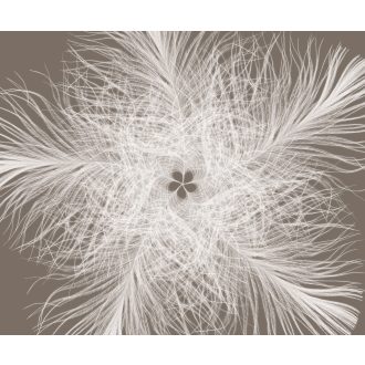 Tollcsillag, poszter tapéta