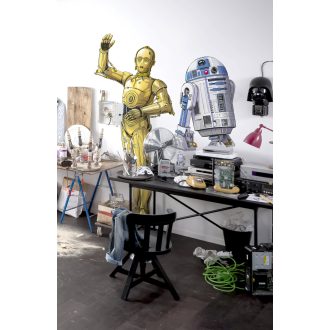 Star Wars XXL C-3PO, falmatrica