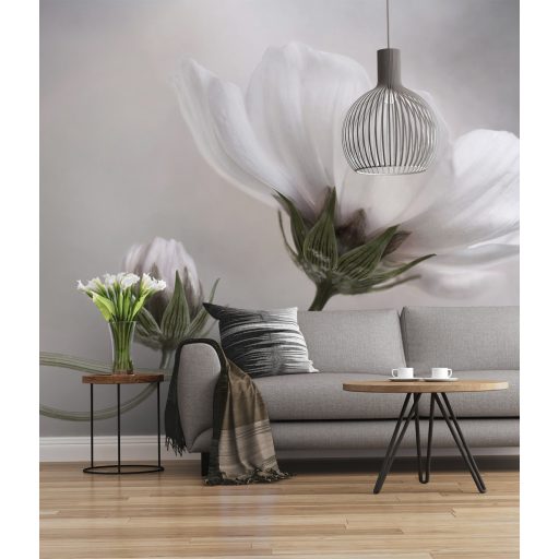 Vintage Felhők, poszter tapéta