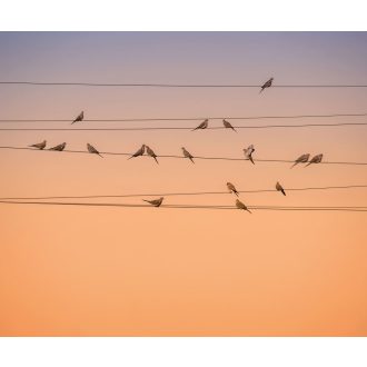 Színfúzió, poszter tapéta