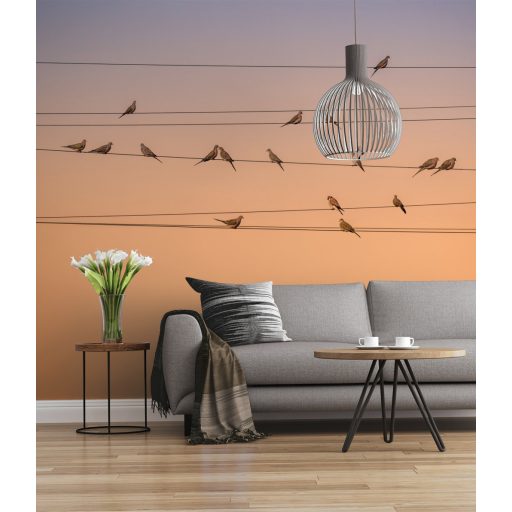 Színfúzió, poszter tapéta