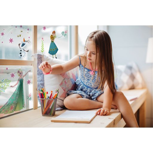 Ablak Jégvarázs Virág, ablakmatrica