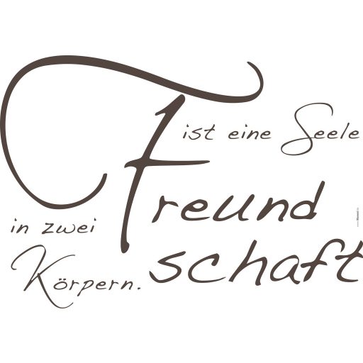 Barátság, falmatrica