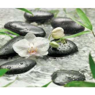 Tisztaság, poszter tapéta