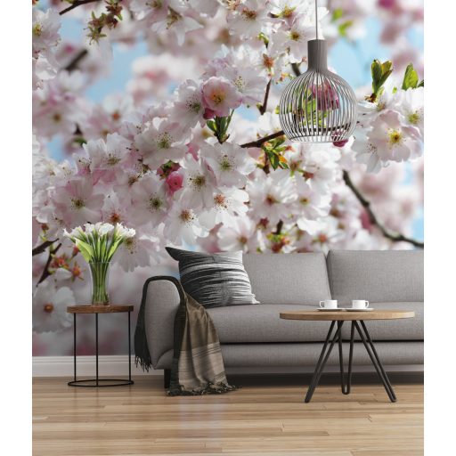 Tavasz, poszter tapéta