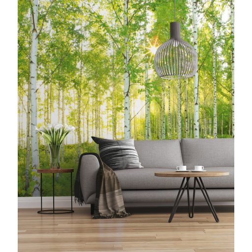 Vasárnap az erdőben, poszter tapéta