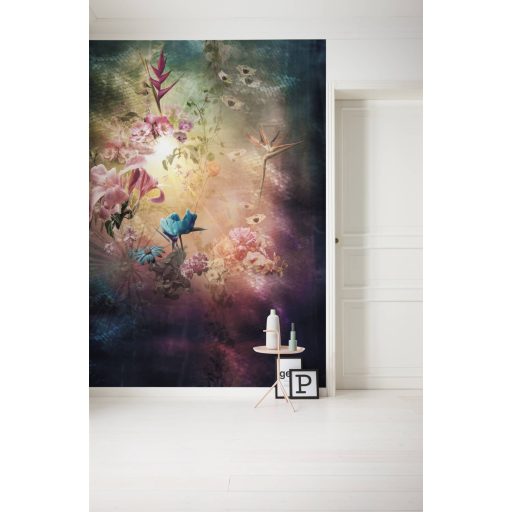 Megvilágosodás, poszter tapéta