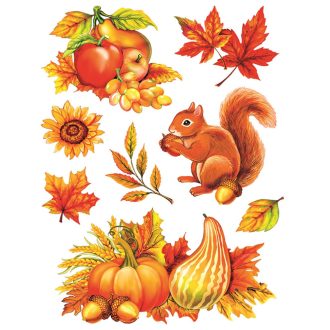 Gyűjtögető mókus, többször használható ablakmatrica