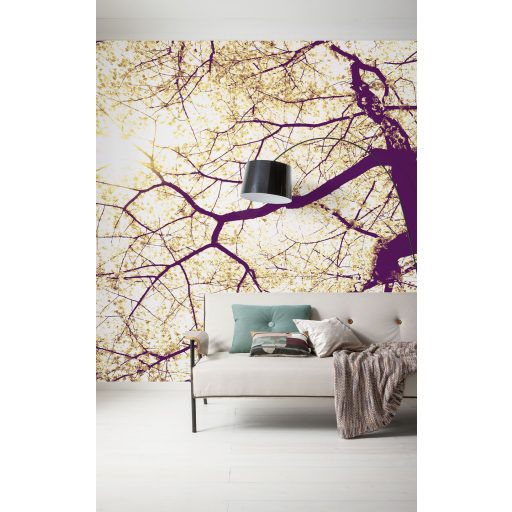 Napfény, poszter tapéta