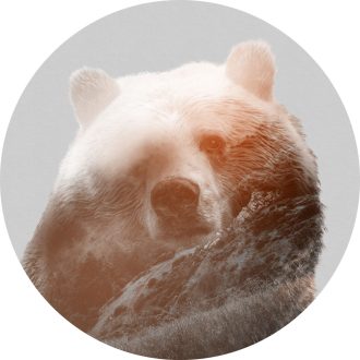 Bearava, vlies falmatrica