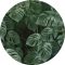 Monstera levelek modern stílusban vlies fali matricán  