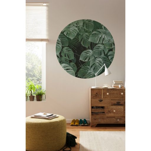 Monstera levelek modern stílusban vlies fali matricán  