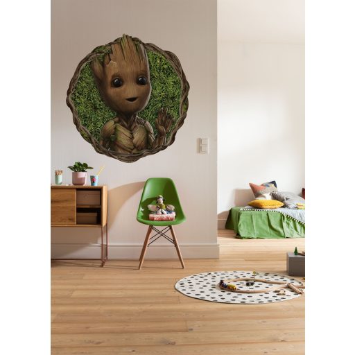 Groot Kis gally, vlies falmatrica