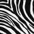 Zebramintás öntapadós tapéta a Dekormatricák Webáruházban