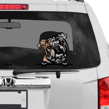 Angol Bulldog rajzos autómatrica a Dekormatricák webáruház matricái közül