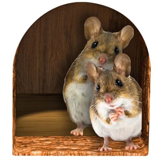 Cincogó sarok - barátságos egérlyuk faldekor