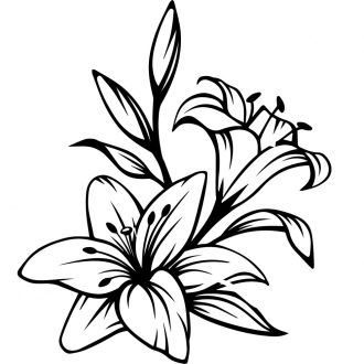 Liliomok, falmatrica