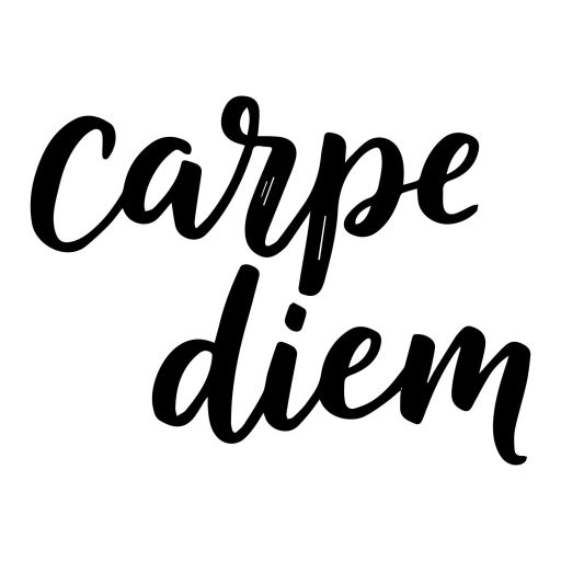 Carpe diem - feliratos ablakmatrica
