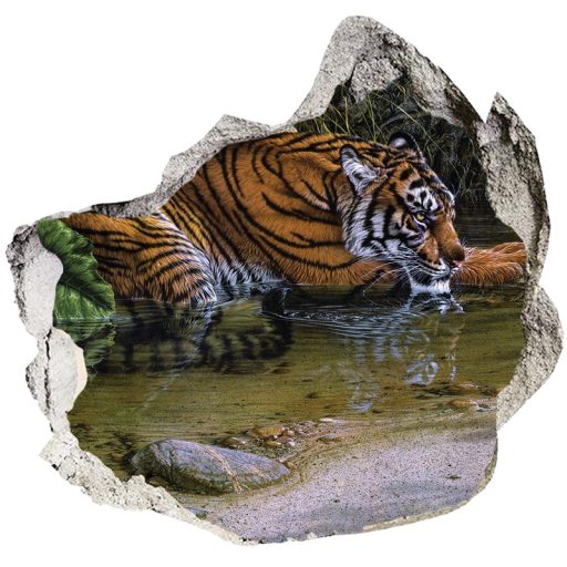 Szomjas tigris falmatrica  