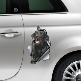 Fekete labrador, rajzos autómatrica