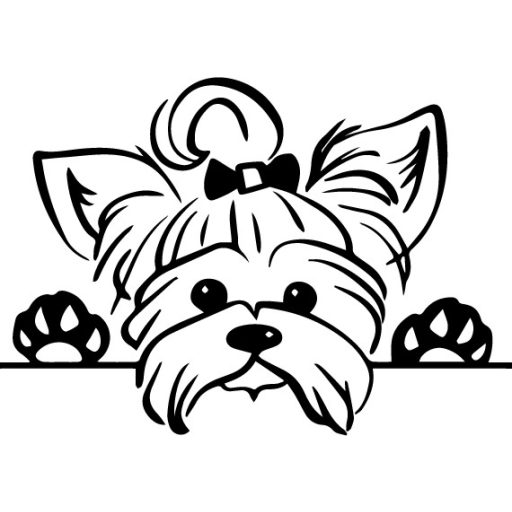 Yorkshire terrier autómatrica