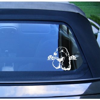 Cocker Spániel autómatrica