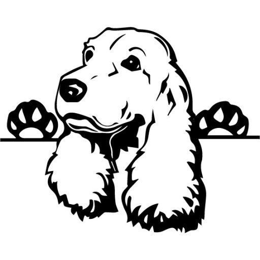 Cocker Spániel autómatrica