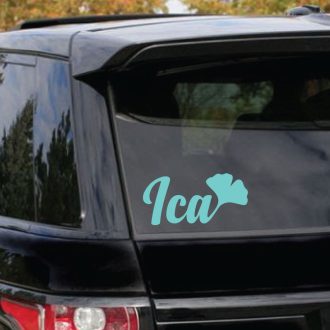 Ica, ginkgo biloba-leveles névfelirat autóra