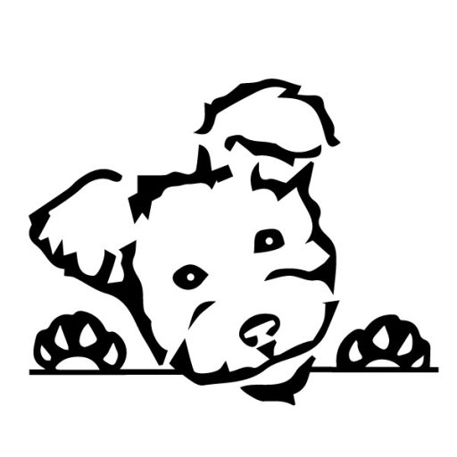 Nézelődő pumi, autómatrica