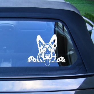 Németjuhász, autómatrica