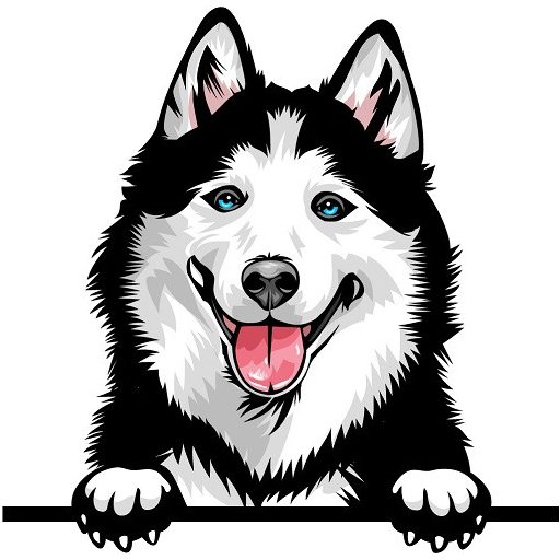 Szibériai Husky rajzos autómatrica