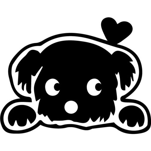 Bichon Bolognese, autómatrica