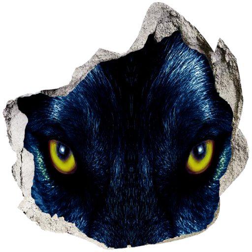 Farkasszem faltörő falmatrica  