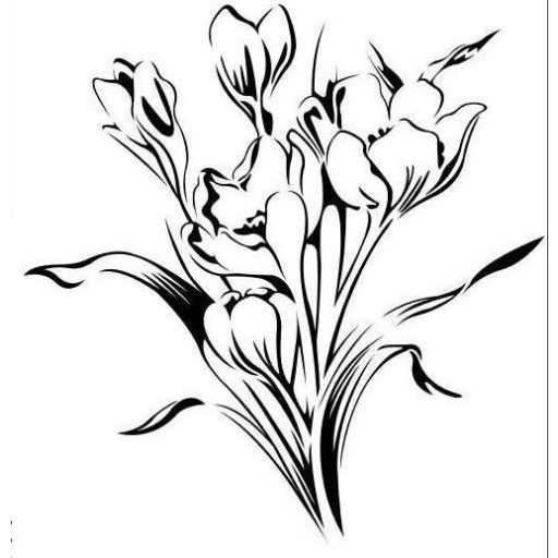 Krókuszok, falmatrica