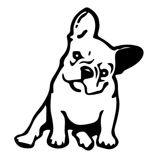 Francia bulldog, falmatrica