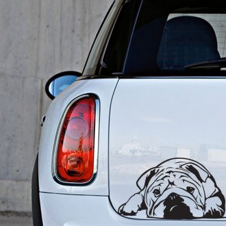 Angol bulldog autómatrica