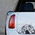 Amerikai pit bull autómatrica a Dekormatricák webáruház matricái közül
