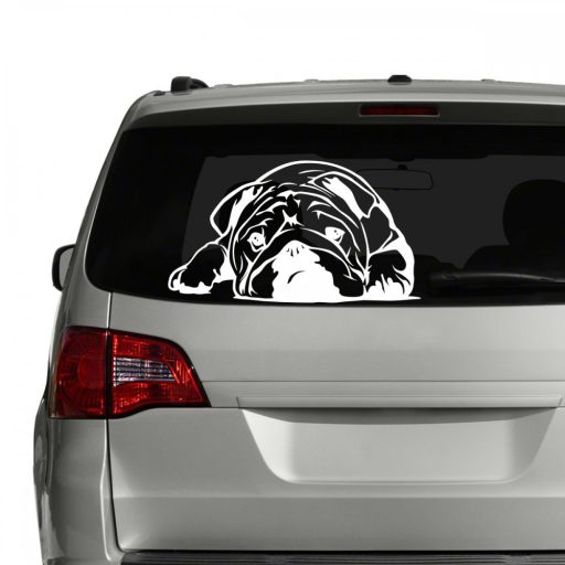 Angol bulldog autómatrica