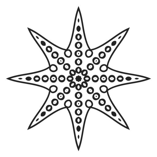 Csillagkapu Mandala, falmatrica