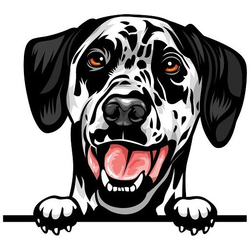 Dalmata rajzos autómatrica