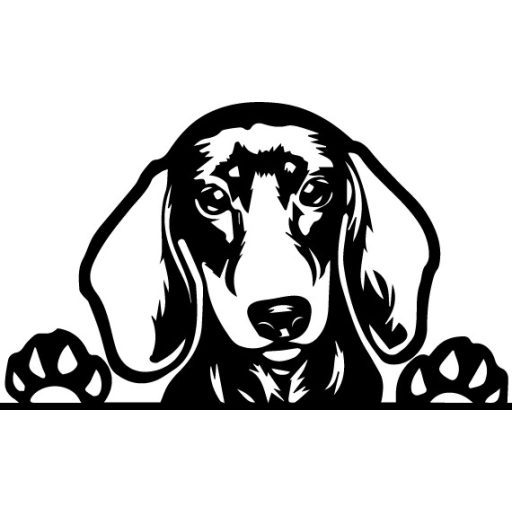 Tacskó, autómatrica