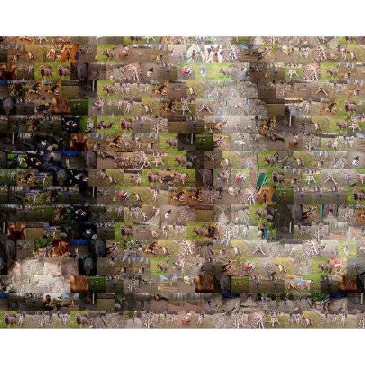 Fotómozaik falmatrica saját képekből