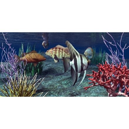 A tenger mélyén, akvárium matrica