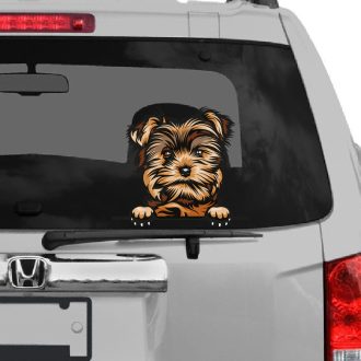 Yorkie fiú, rajzos autómatrica