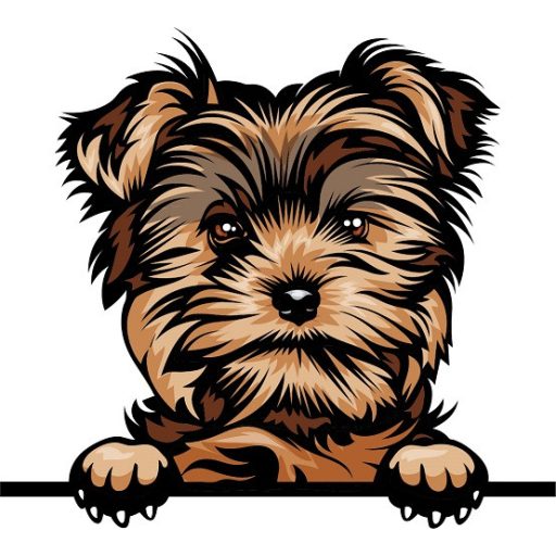 Yorkie fiú, rajzos autómatrica