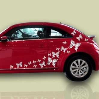 Pillangók, autómatrica