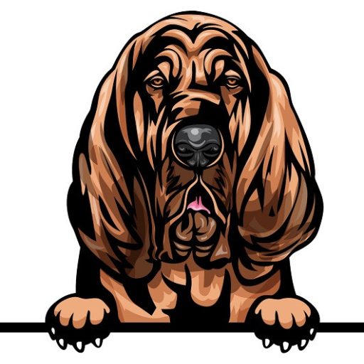 Angol Véreb rajzos autómatrica