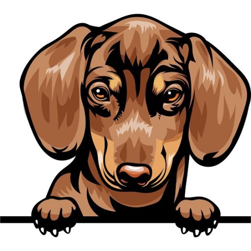 Világos tacskó, rajzos autómatrica