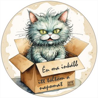 Vicces matrica mérges cicával dobozban – felirattal: „Én ma inkább itt töltöm a napomat”