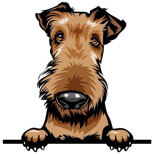 Airedale Terrier rajzos autómatrica